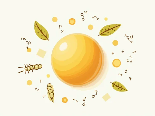 Retinol